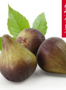 Emulational Fruit Fig Model Fruit Shop Decoration Model