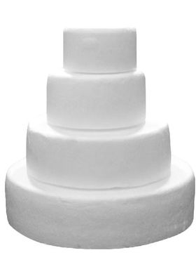 Cakedummy Dummies Model Styrofoam Rounds Prosthetic Round