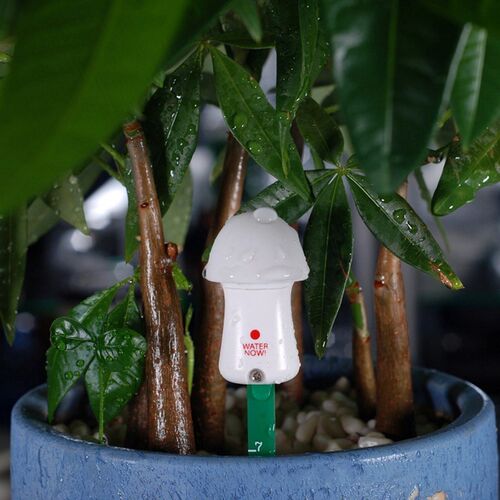 2Pcs Plant Moisture Meter Waterproof Sun-Proof Plant Water S