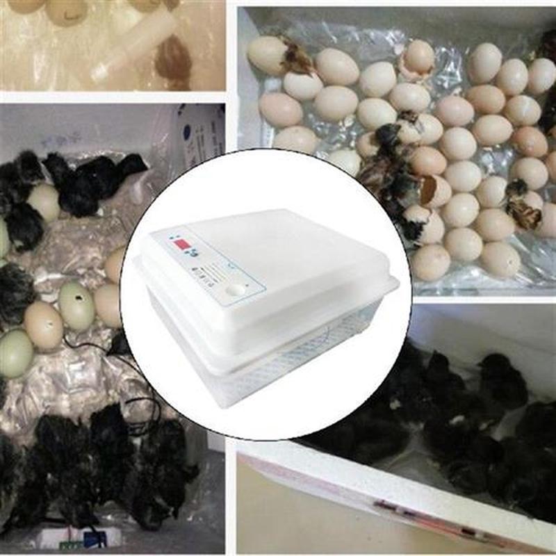 Egg Incubator Poultry Hatching Machine Automatic Egg