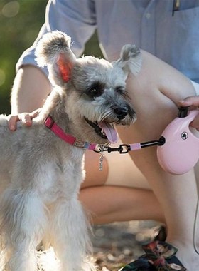 Retractable Dog Leash Rope For Small Medium Large Dog Automa