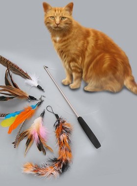 2019 Cat Toy Feather Teaser Wand Flexible Exercise Teaser Pe