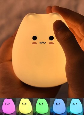 LED Night Lamp Colorful  Silicone Touch Sensor light Chil