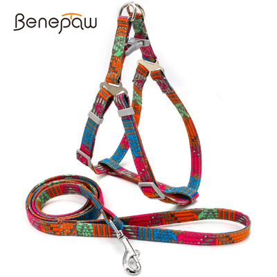 Benepaw Durable Retro Bohemia Dog Harness And Leash Set