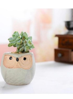 6pcs Ceramic Owl Flower Pots Planters Flowing Glaze Base Ser
