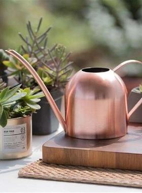 500ML Stainless Steel Long Spout Home Garden Bonsai Plant