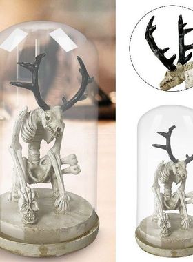 2022 Skeleton Curiosity Cabinet Personalized Skeleton