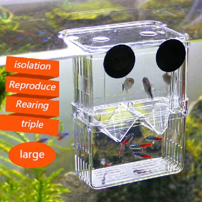 Acrylic Fish Tank Aquarium Box Small Fish Isolation Net