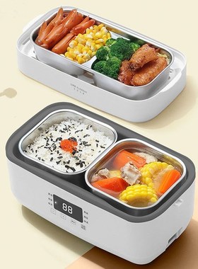 220V Multifunction Electric Lunch Box Double Stainless Steel