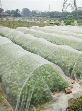 Garden Vegetable Insect Net Cover Plant Flower Care Protecti
