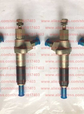 YND4B-10300 injector (P78-1) for Quanchai QC485T engine and