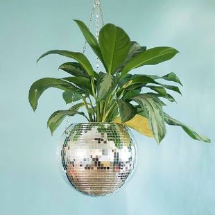 Disco Ball Hanging Flower Pot For Indoor Plants Bohemian