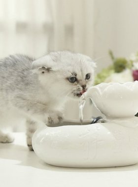 Automatic Pet Cat Water Fountain Ceramic Mute Dog Water Feed