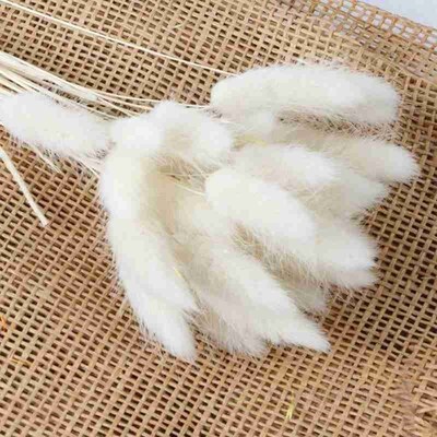 30 Pcs/lot Natural Dried Pampas Grass, Phragmites Communis,r