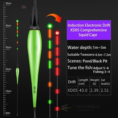 Carp Fishing Night Fishing Inductive Electronic Float Foam B
