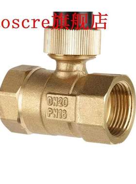 G3 /4inch Dn20 Ac 12v Brass 2 Way Motorized Ball Electrical