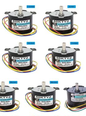 50KTYZ AC220V Permanent Magnet Synchronous Motor 2.5-50R/Min