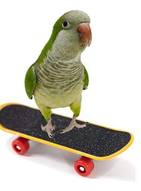 2PCS Bird Parrot Climbing Training Toys Scrub Scooter Skateb
