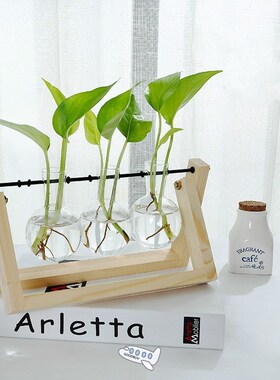 Terrarium Creative Hydroponic Plant Transparent Vase Wooden