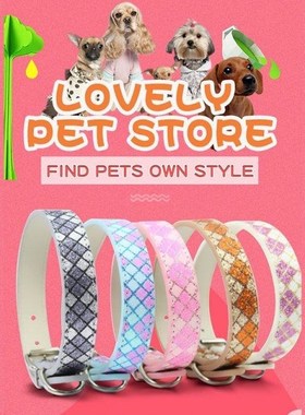 2021 New Arrival Glowing Dog Collar for Pet Cats Luminouse P