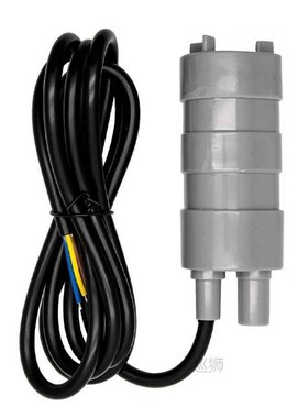 Portable Mini 12V  DC Electric Submersible Pump For Pumping