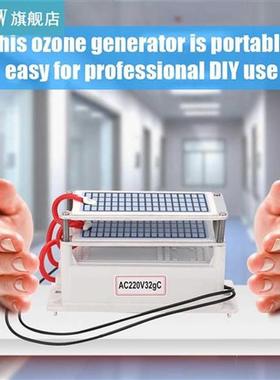 Portable 2g/h Ozone Generator 220V Air Purifier ozone Forma
