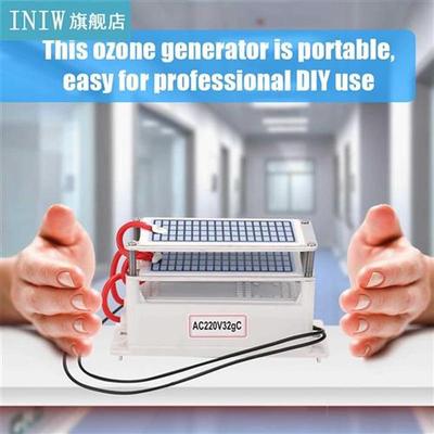 Portable 2g/h Ozone Generator 220V Air Purifier ozone Forma