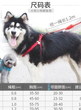 Chihuahua summer walk dog leash dog collar dog leash small