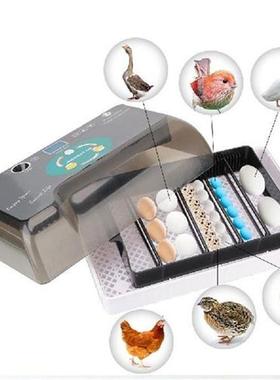 Chicken Bird Quail Brooder Automatic Eggs Incubator Cheap