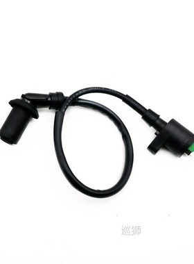 Motorcycle Accessories AC CDI   Ignition Coil   Spark Plug F