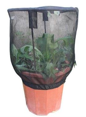 Observation Cage Self Standing Cover Flower Pot Raising