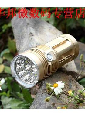 Goud AluminiumLED Zaklamp Jacht 13 LEDs Hard Licht Torch voo
