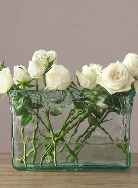 Spain imported handmade glass vase European furnishing