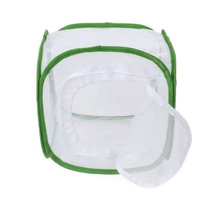 Insect And Butterfly Habitat Cage Safe Mesh Insect Cage