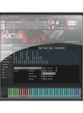 Martin Britz Invictus Guitar KONTAKT