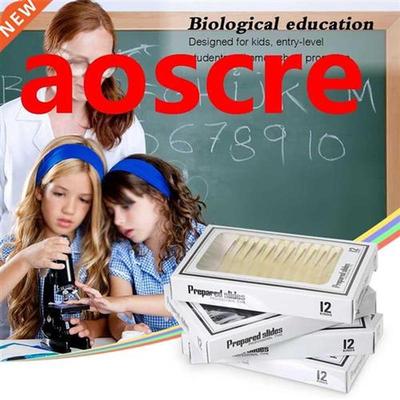 48pcs Plastic Prepared Microscope Slides Animals Insects Pla