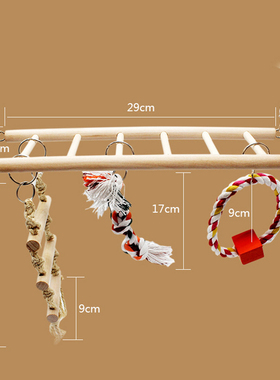 Bite Standing Colorful Home Cockatiel Pet Bird Parrot