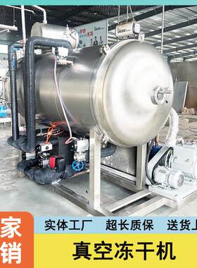 巧克力草莓脆冷冻干燥机 酸奶果粒块冷冻干燥机 宠物食品冻干机