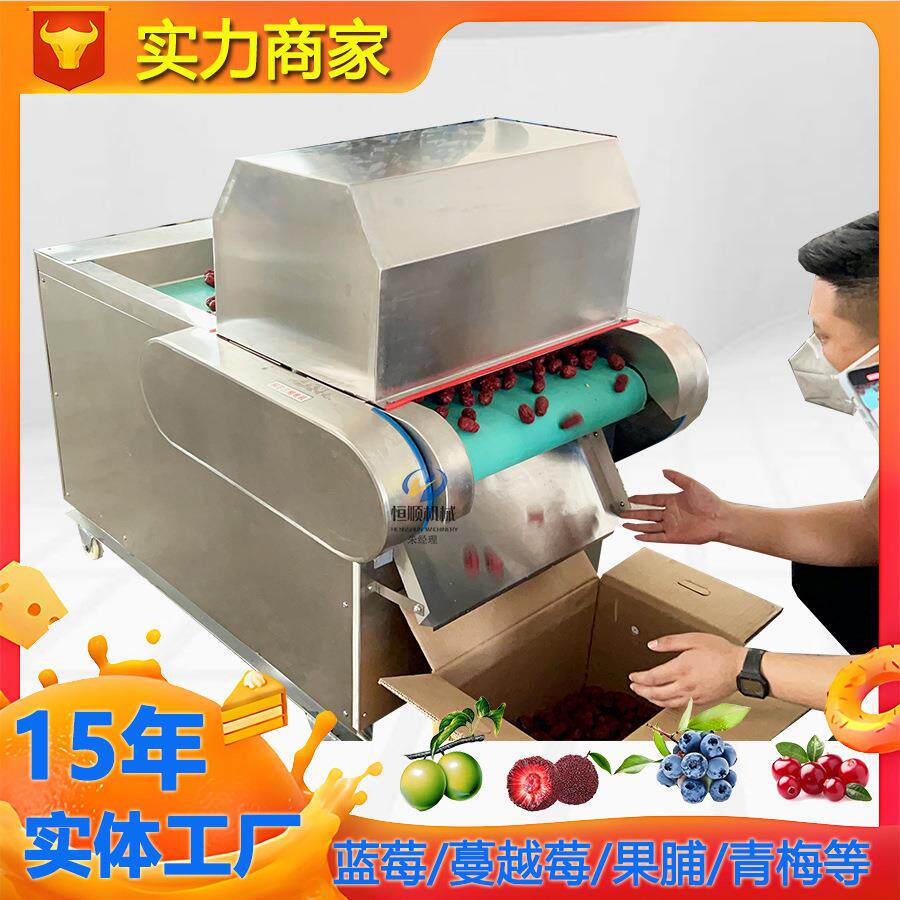 蜜饯浸糖前刺孔扎眼机 连续运转泡酒青梅李子扎孔机 刺梨扎孔机