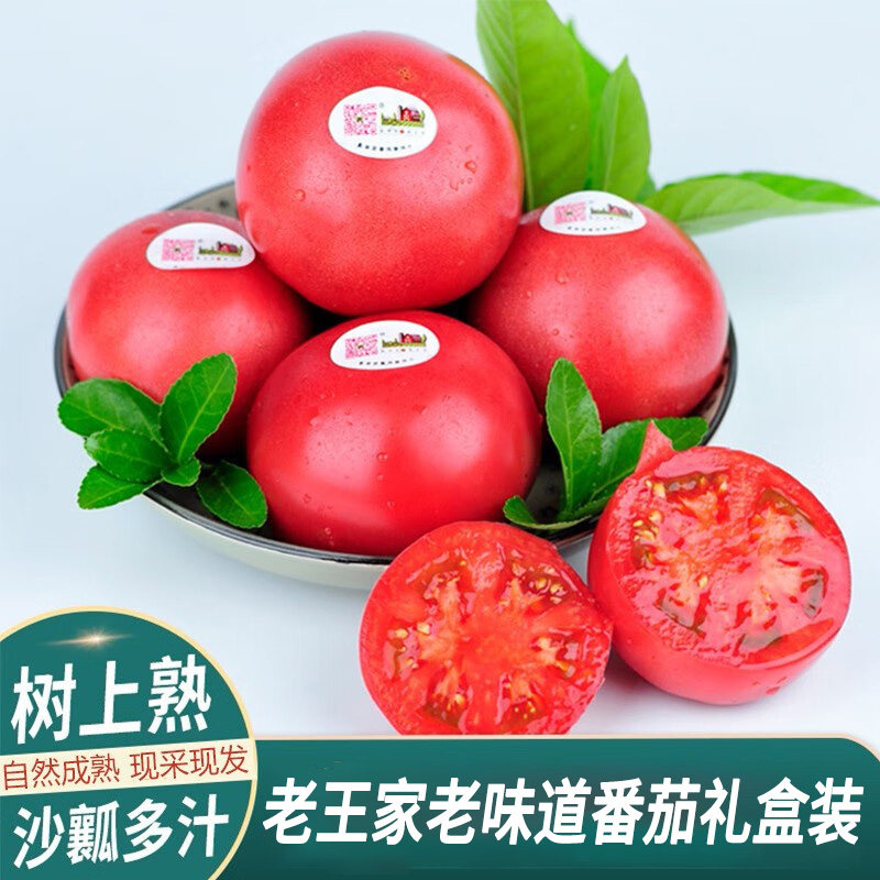 老王家老味道番茄自然熟现摘新鲜蔬果老品种西红柿12只精品礼盒装
