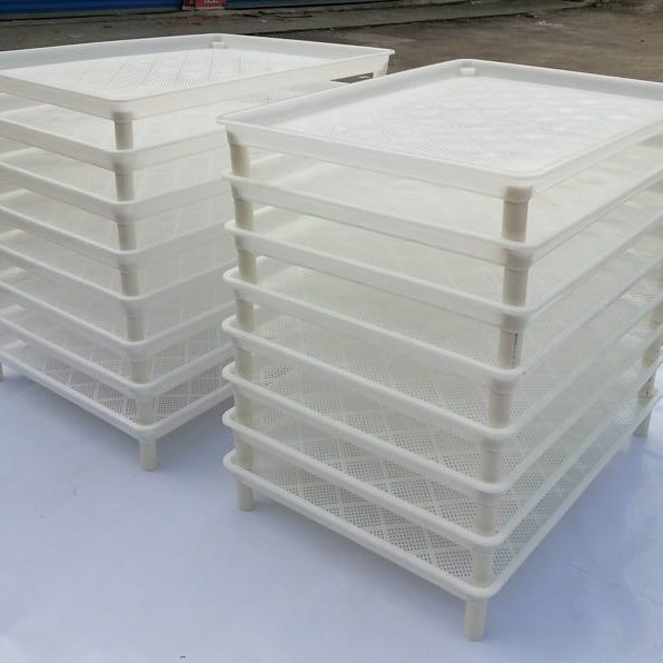 养蚕用具蚕具蚕箔共育盒蚕匾塑料蚕箔饲养筐小蚕共育盒大蚕饲养盒