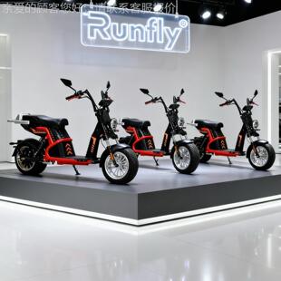 出销口畅俄罗斯山越野车电动车哈雷citycoco biCP-9ke motorcy地c