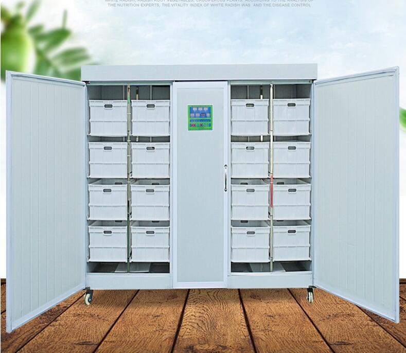 广西家用豆芽机 新型商用豆芽机一人操作 大型豆制品全自动设备