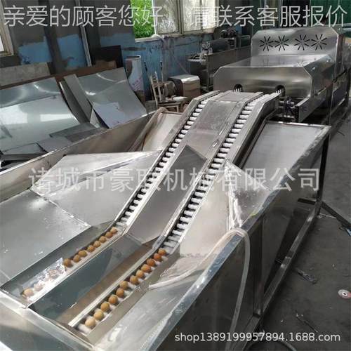 商用洗油蛋机 全自动洗 选配风清干光检喷喷码分级便BSP等装置更