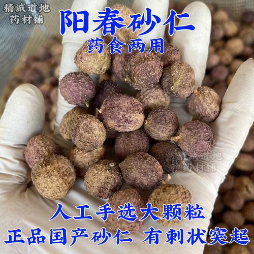 国产正宗阳春砂仁中药材正品