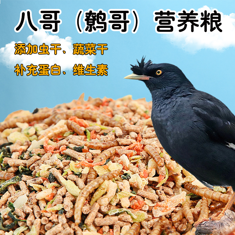 速发粮哥饲料鹩哥画眉鸟饲料营养面包虫干鸟食混合八哥八食