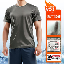 正品体能服短袖训练服套装夏季男女透气速干作训服圆领衫t恤短袖