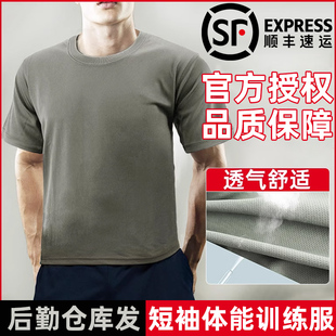 夏季 短袖 体能训练服套装 运动服 新式 男体能服短袖 速干t恤体能短裤