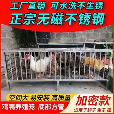 鸡鸭笼兔笼鸽子笼鸡笼子家用养殖大号加密加厚不锈钢不生锈养殖笼