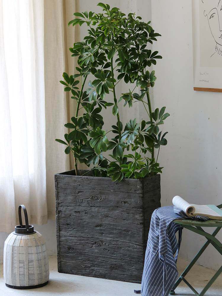 仿古木纹水泥大花盆花器绿植盆栽组合角落装饰花园别墅园艺复古i.